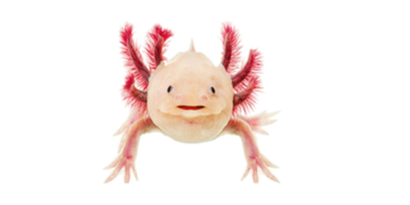 M6. Educación artística y ecologías 25/26